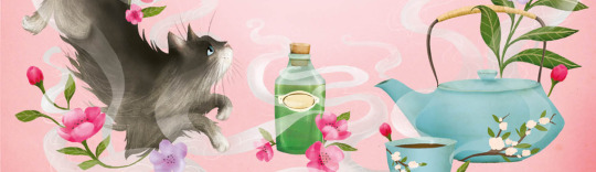 Carrie May Feature Image Meiklejohn Carrie May Feature Image from The Teller of Small Fortunes illustrated book cover,