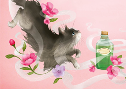 Carrie May Hodderscape Homepage Promo Card for illustrated book cover