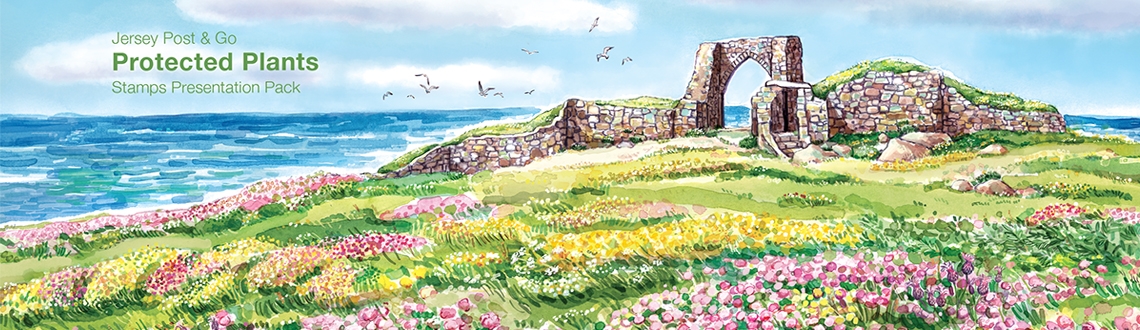 Hannah George Jersey Post News Feature Image Hannah George Jersey Post News Feature Image