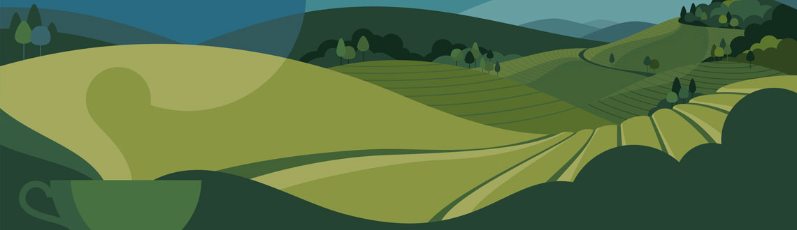 The World Tea Encyclopaedia book cover illustrated by Julia Allum.