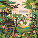 Illustrator Anna Broadhurst's illustrations for Hotel Chocolat.