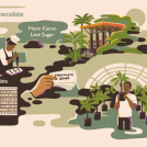 Illustrator Anna Broadhurst's illustrations for Hotel Chocolat.