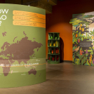 Illustrator Anna Broadhurst's illustrations for Hotel Chocolat new store opening.