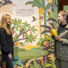 Illustrator Anna Broadhurst's illustrations for Hotel Chocolat new store opening.