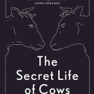 Anna Koska Secret Life of Cows News Item Book Jacket