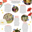 Carrie May English Heritage News Item